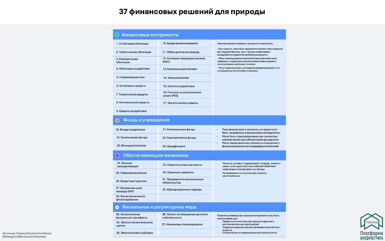 Природа как актив: как она выходит на рынок и почему обязательно победит