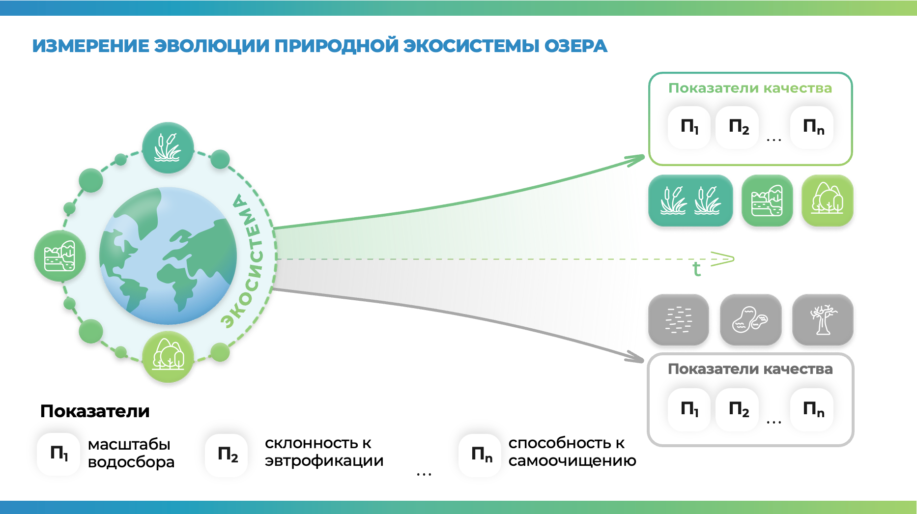 Дмитрий Скобелев: «Природный капитал должен функционировать как дарственный фонд»