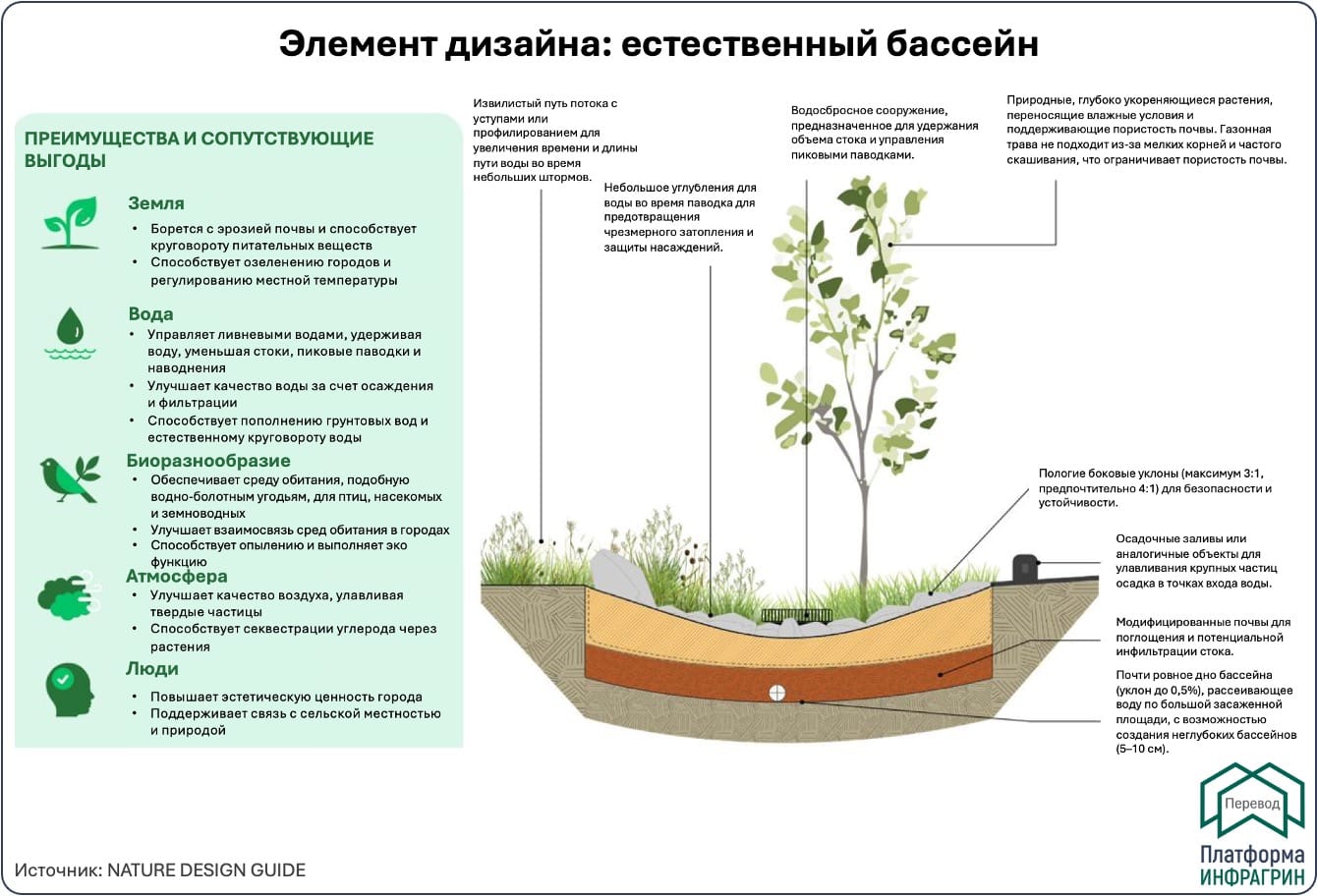 Элемент дизайна: естественный бассейн