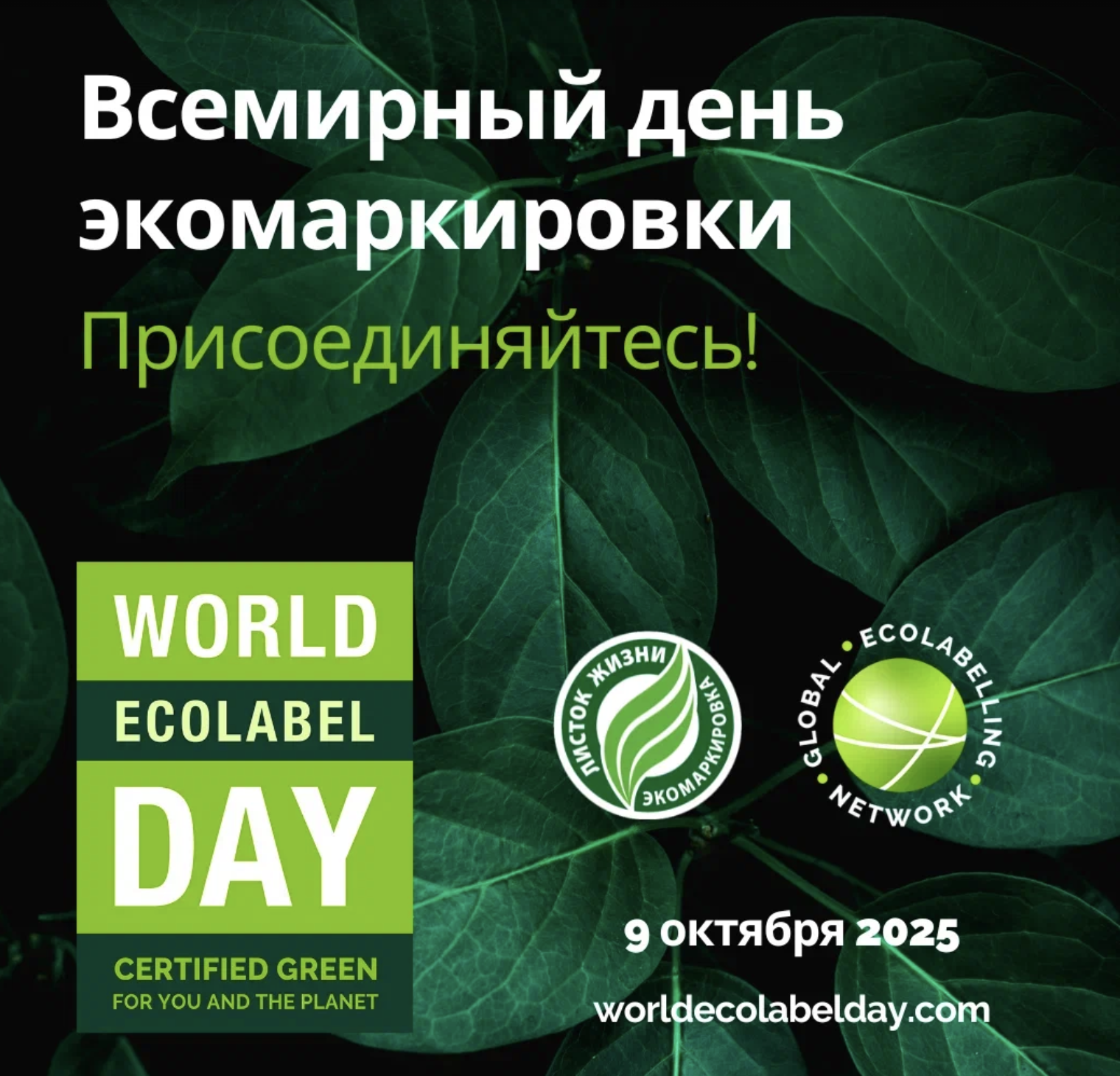 Плакат Всемирного дня экомаркировки