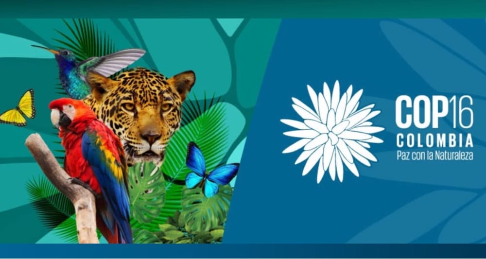 Деньги и право голоса: как Глобальный Юг и Глобальный Север не договорились о главном