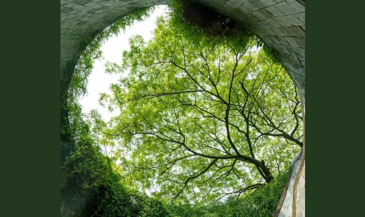 Экономика замкнутого цикла: драйверами становятся наука, природа и мода