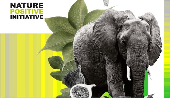 Оценить природу и измерить воздействие: универсальные метрики проходят проверку