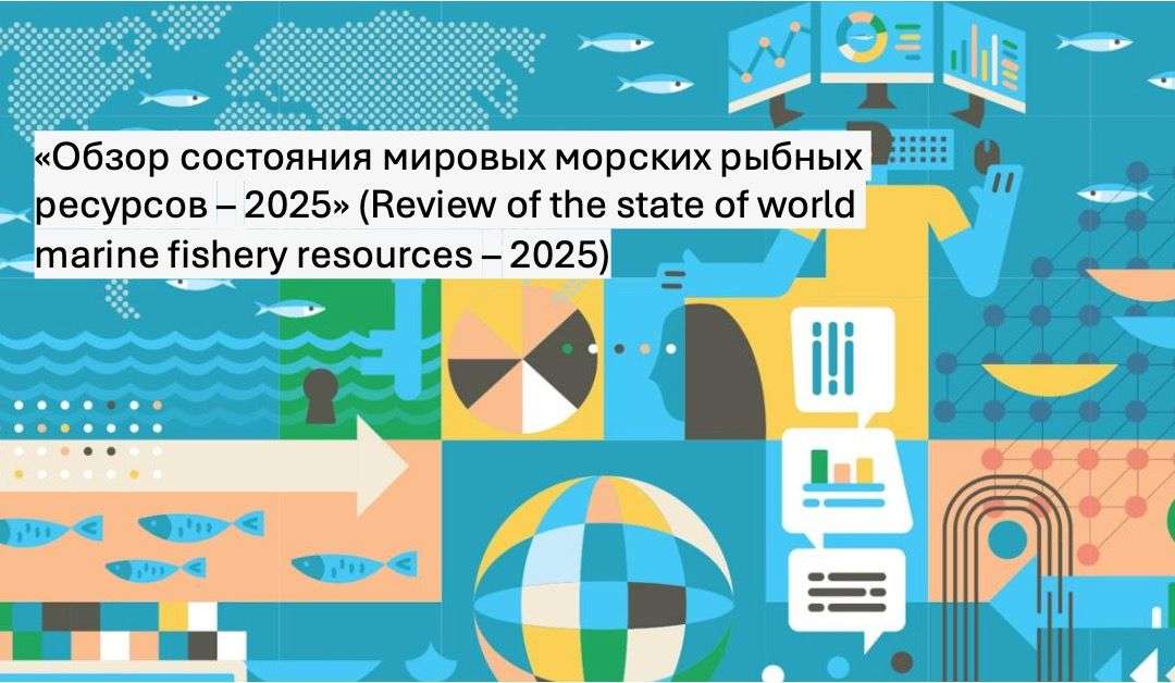 Отчет ООН по рыболовству: следующему поколению останется только минтай?