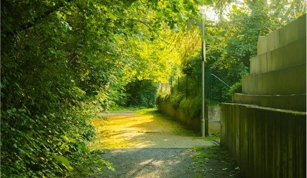 Зеленая инфраструктура улучшает качество жизни и снижает углеродный след