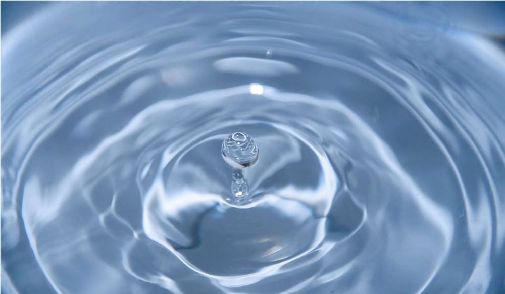 «Синяя» экосистема зависит от климатических изменений