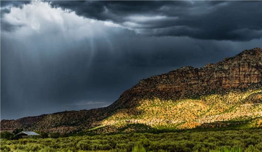 Страны Евразии на пути озеленения финансов и бизнеса