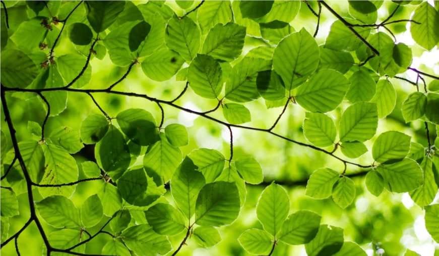 ESG-ТРАНСФОРМАЦИЯ: устойчивый подход к развитию