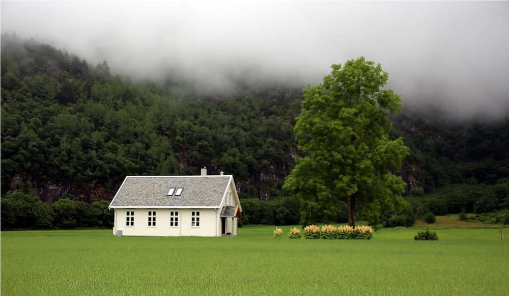 Озеленение городов, как драйверов устойчивого развития