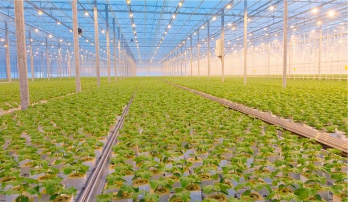 Экономика природы: Агентство стратегических инициатив открывает  новую программу для регионов