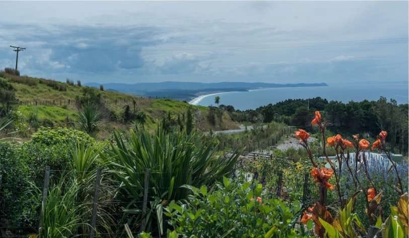 Многосторонние банки развития: создана первая единая таксономия природных инвестиций