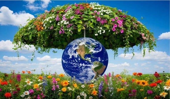 Летающие реки: как леса перекачивают воду из океанов вглубь континентов