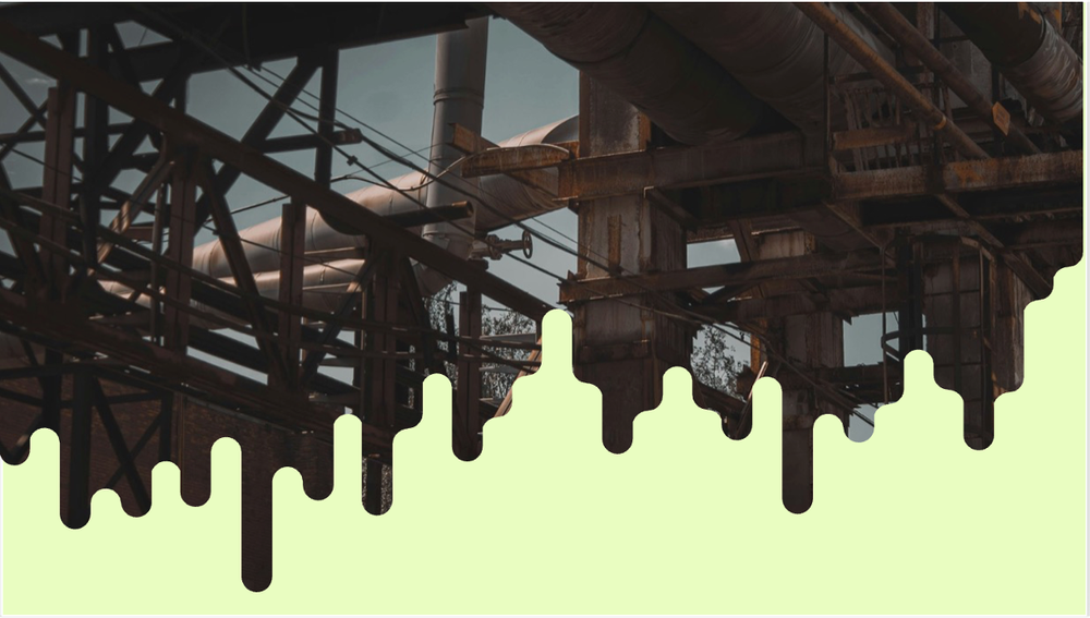 ИНФРАГРИН запускает дайджест «Природа и капитал»: биоразнообразие становится финансовой категорией