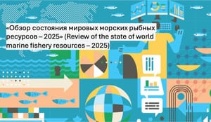 Отчет ООН по рыболовству: следующему поколению останется только минтай?