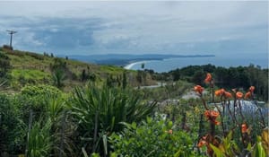 Многосторонние банки развития: создана общая таксономия природного финансирования