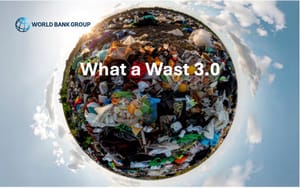 Потерянное десятилетие: как мир проиграл гонку с собственным мусором