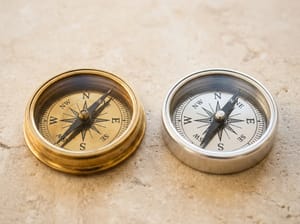 ЭКГ и «Социальный кредит»: как Россия и Китай измеряют ответственность бизнеса
