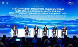 Климатический прагматизм на РЭН-2026: ставка на энергоэффективность и экологически чистое топливо