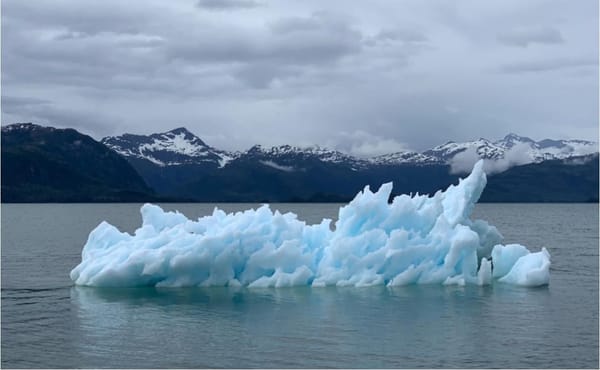 Россия на климатическом горизонте: из Парижского соглашения не выходим, но фокусируемся на науке и адаптации