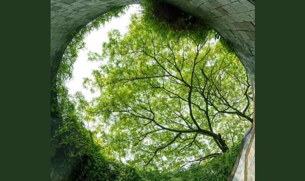 Экономика замкнутого цикла: драйверами становятся наука, природа и мода