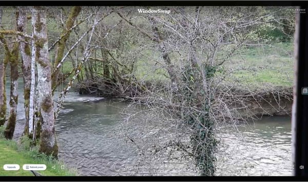 Slow TV: почему медленный видеоконтент привлекает все больше зрителей