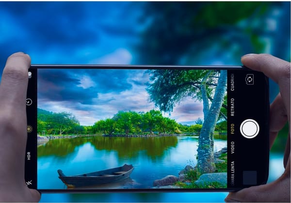 От селфи к науке: как смартфоны превратились в инструменты глобального мониторинга биоразнообразия