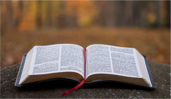 Вышел в свет Доклад «ESG, декарбонизация и зелёные финансы России 2023/24»