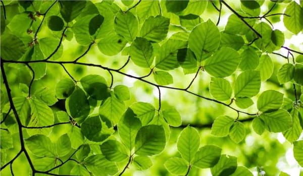 ESG-ТРАНСФОРМАЦИЯ: устойчивый подход к развитию