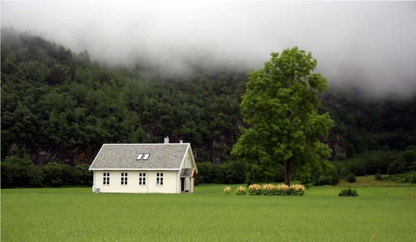 Озеленение городов, как драйверов устойчивого развития