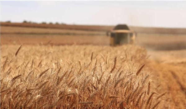 Устойчивое сельское хозяйство и продовольственная безопасность