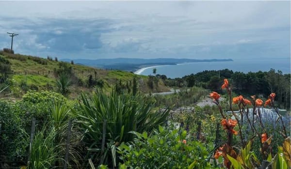 Многосторонние банки развития: создана первая единая таксономия природных инвестиций