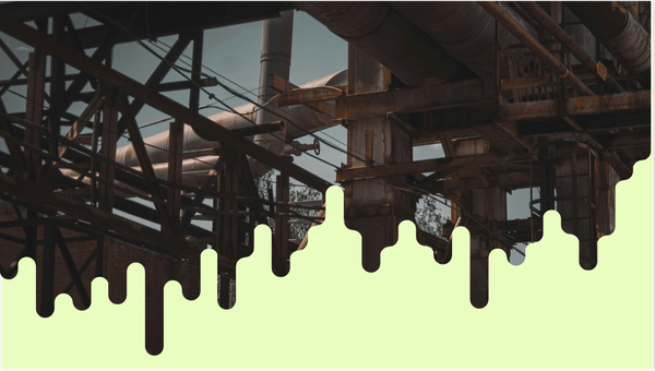 ИНФРАГРИН запускает дайджест «Природа и капитал»: биоразнообразие становится финансовой категорией