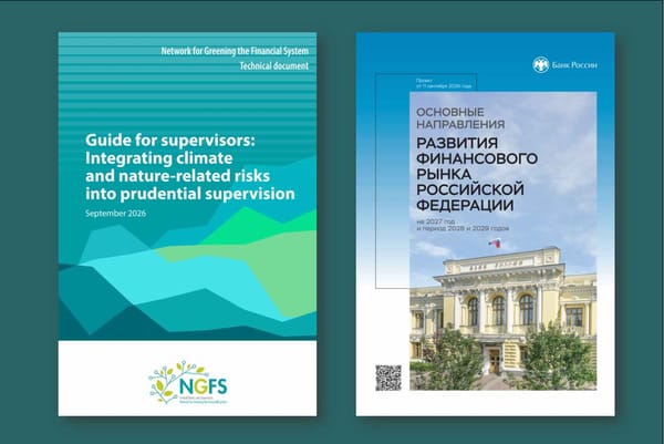Климат как частный случай: что содержит руководство NGFS 2026 о климатических и природных рисках