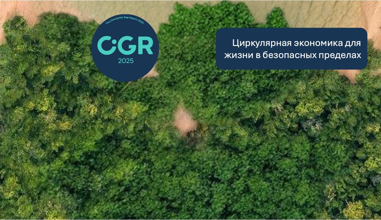 Кратный рост экосбора: как мир проходит через конфликты расширенной ответственности